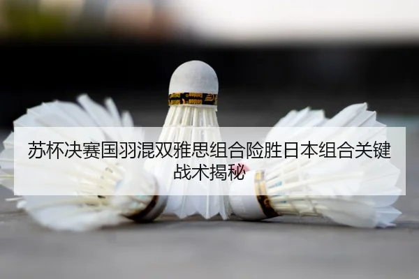 su-bei-jue-sai-guo-yu-hun-shuang-ya-si-zu-he-xian-sheng-ri-ben-zu-he-guan-jian-zhan-shu-jie-mi-2-148.jpg