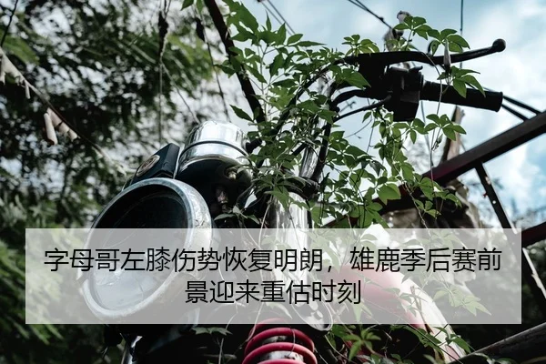 字母哥左膝伤势恢复明朗，雄鹿季后赛前景迎来重估时刻